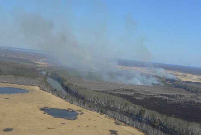 Три природных пожара тушат на Среднем Урале